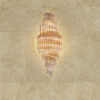 Applique a muro 5051/APP triedri e quadriedri in vetro di Murano montatura in oro 24 carati collezione Cristalli Patrizia Volpato