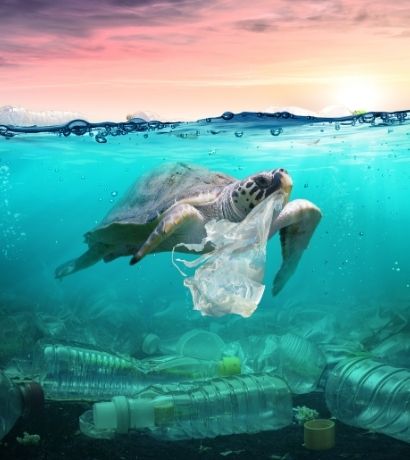 Tartaruga che nuota nell'oceano con un sacchetto di plastica in bocca