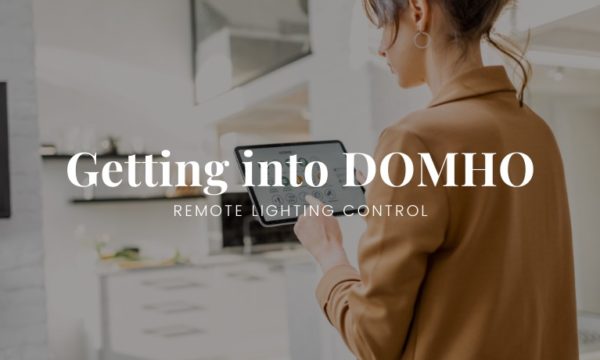 Getting into DOMHO Project -Patrizia Volpato
