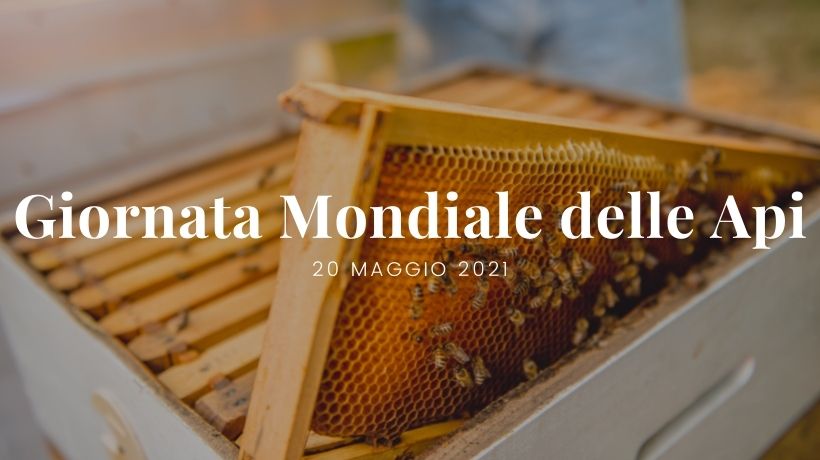 Giornata mondiale delle api 2021 - Patrizia Volpato
